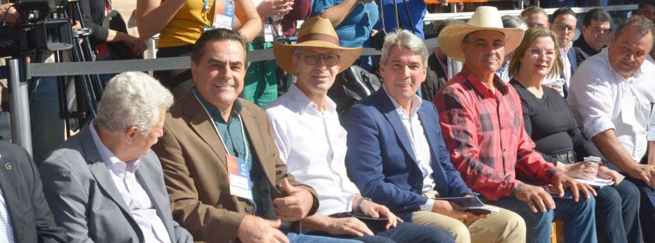 Megaleite_1_(1) Megaleite_1_(1)