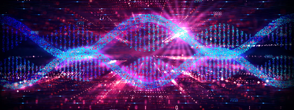 ezgif-1-6bfd0cefc0 ezgif-1-6bfd0cefc0