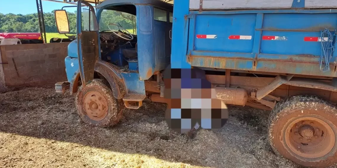 ezgif-4-7ad45f01d7 ezgif-4-7ad45f01d7