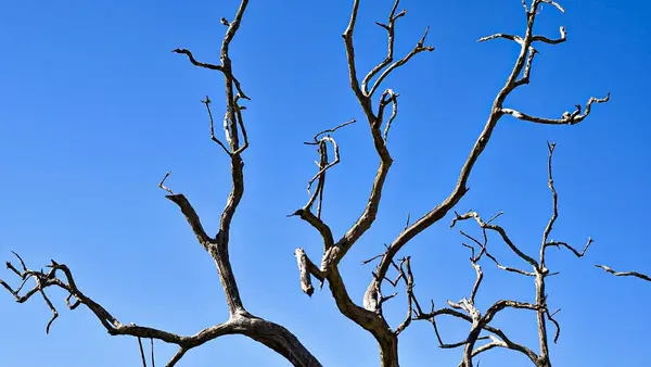 tempo-clima-seco-1325 tempo-clima-seco-1325