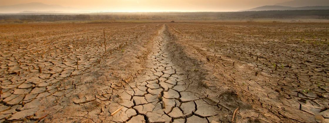 03162543173379 03162543173379