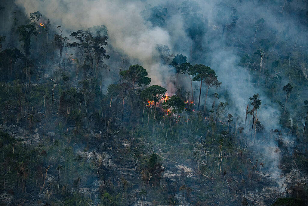 Fire and Deforestation Monitoring near the Manicoré River in the Amazon in BrazilMonitoramento de Fogo e Desmatamento Próximo ao Rio Manicoré na Amazônia Fire and Deforestation Monitoring near the Manicoré River in the Amazon in BrazilMonitoramento de Fogo e Desmatamento Próximo ao Rio Manicoré na Amazônia
