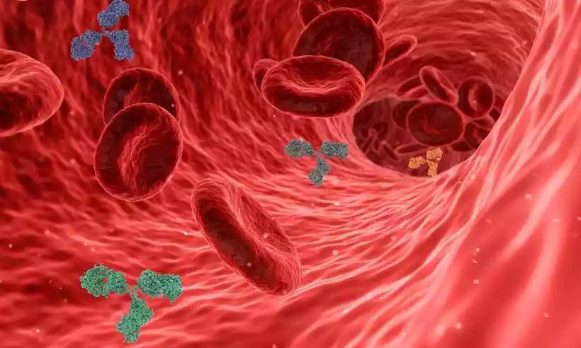 corrente-sanguinea-com-varios-virus_1_62769