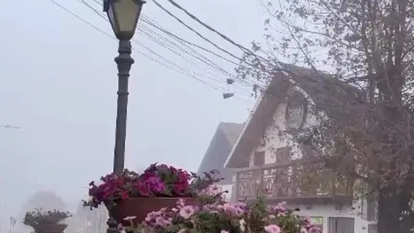 monte-verde-e-conhecida-pelo-frio-intenso--d7561b81-4cb9-45ae-9095-0ec1417f066a.medium