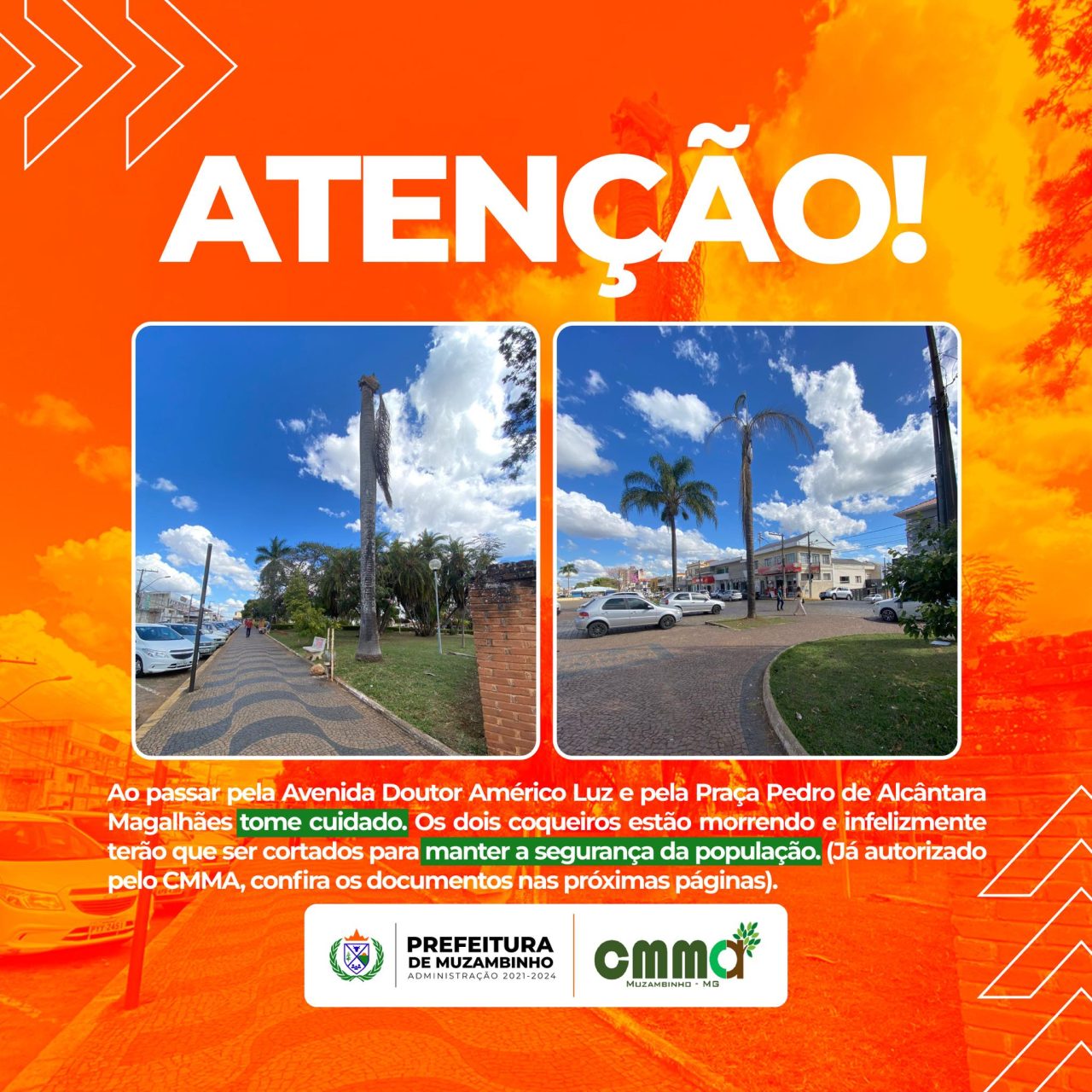 367482723_603593571981088_3422426028623898271_n 367482723_603593571981088_3422426028623898271_n