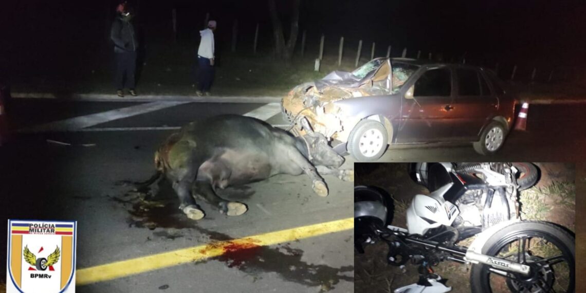 WhatsApp-Image-2023-08-02-at-14.12.22-1140x570