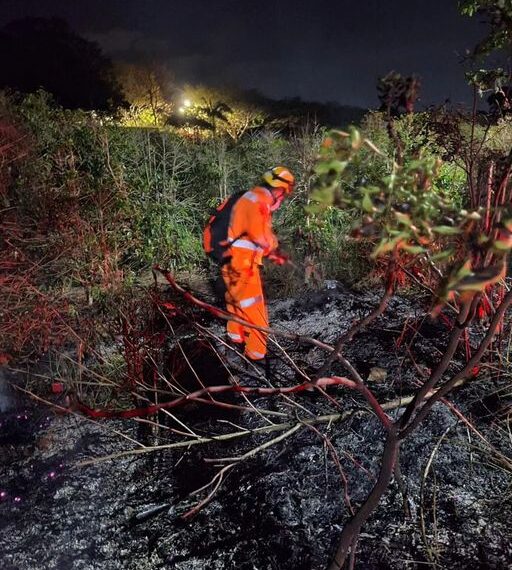 374614339_641922164703802_4048923277622690632_n-512x570 374614339_641922164703802_4048923277622690632_n-512x570