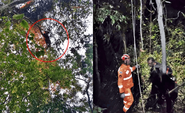Foto-Corpo-de-Bombeiros-2