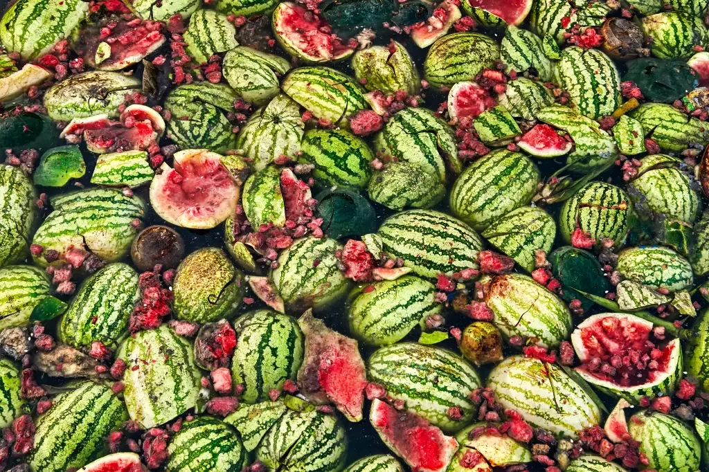 GettyImages-1145892096 GettyImages-1145892096