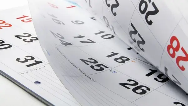 edff-271bc584-342d-4d19-a6cc-661aad09f615.medium