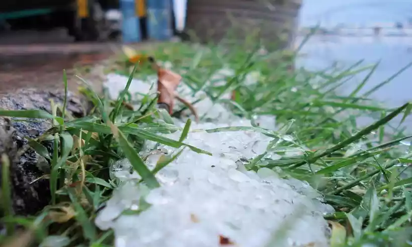 gelo-em-cima-da-grama-_1_107644 gelo-em-cima-da-grama-_1_107644