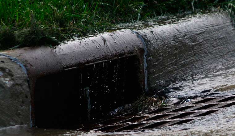 5637567353949 5637567353949