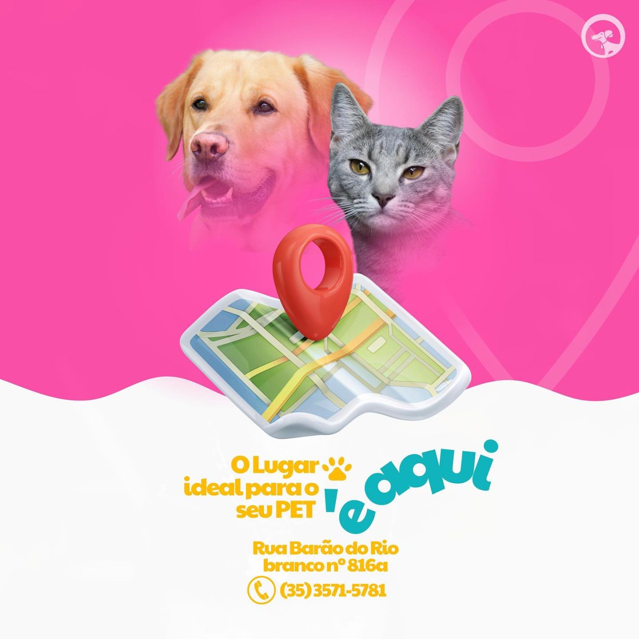 SrCachorro0710231 SrCachorro0710231