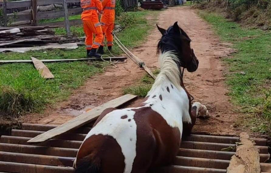 WhatsApp-Image-2023-10-05-at-14.01.54-892x570