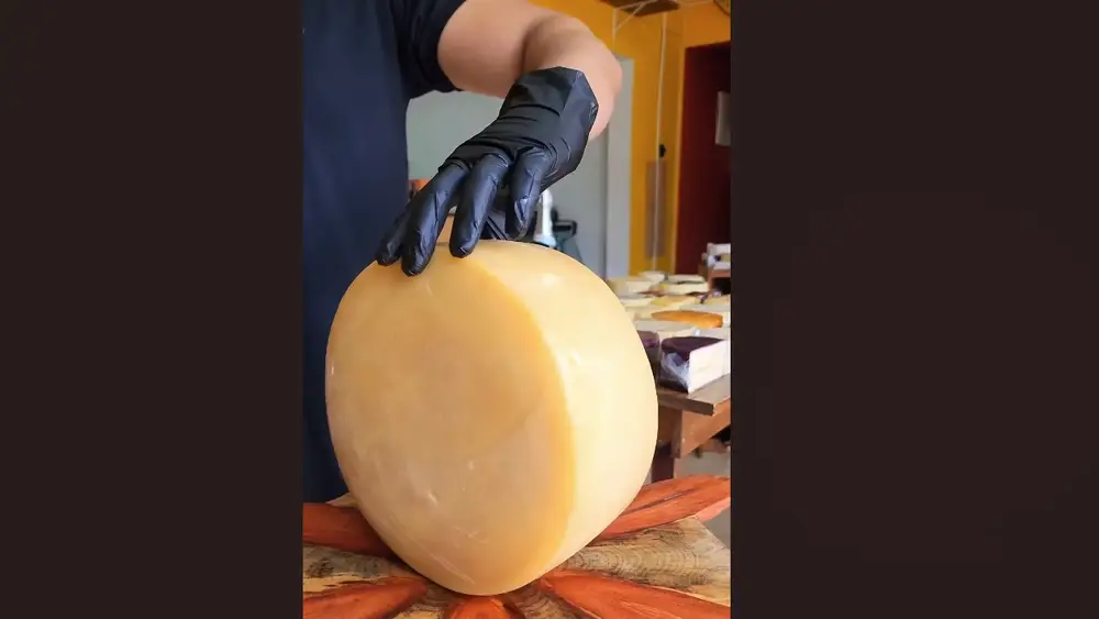 queijo-capim-mantiqueira-que-levou-a-medalha-de-prata-e-produzido-em-cruzilia-1fd7c889-0612-4b7d-8db1-aacbbf9e1a50.large queijo-capim-mantiqueira-que-levou-a-medalha-de-prata-e-produzido-em-cruzilia-1fd7c889-0612-4b7d-8db1-aacbbf9e1a50.large