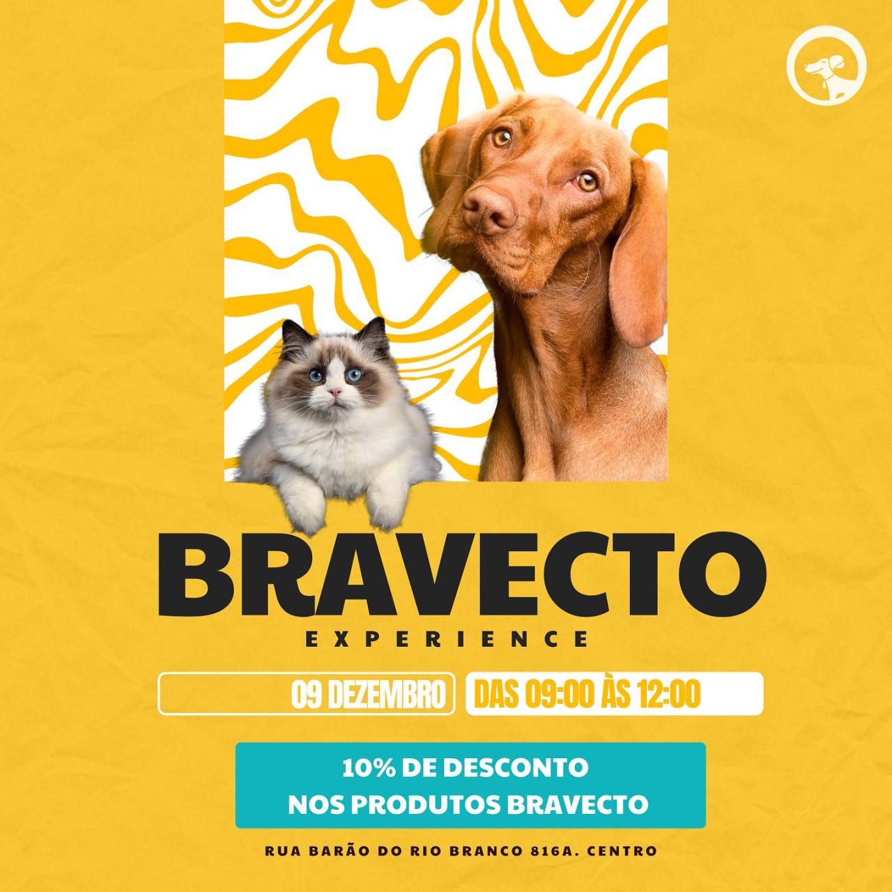 SrCachorro0912