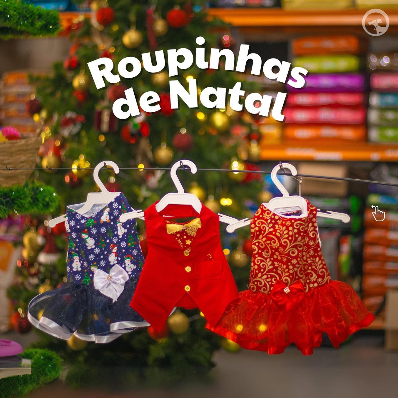 SrCachorroNatal SrCachorroNatal