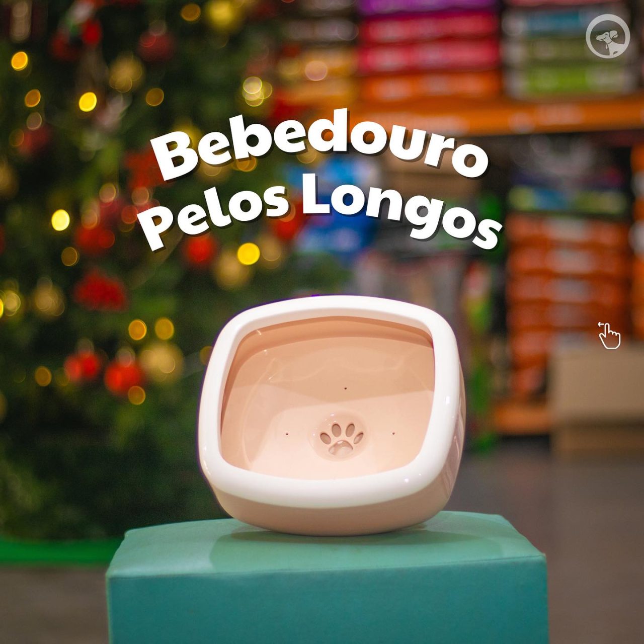 SrCachorroPelongos1 SrCachorroPelongos1