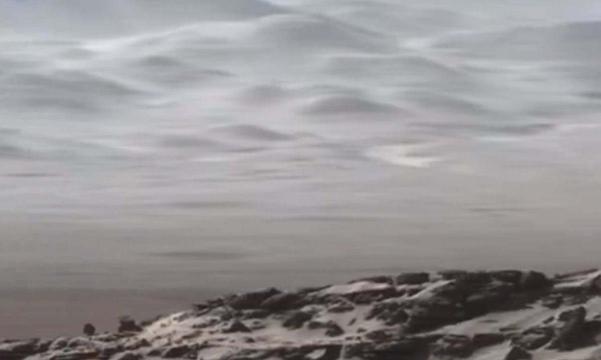 1_captura_de_tela__29_-34135660 1_captura_de_tela__29_-34135660