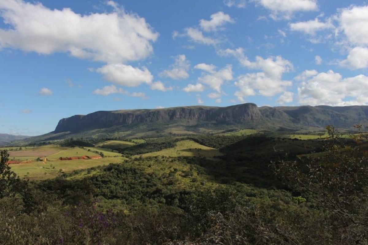 IMG_1609-770x513 IMG_1609-770x513