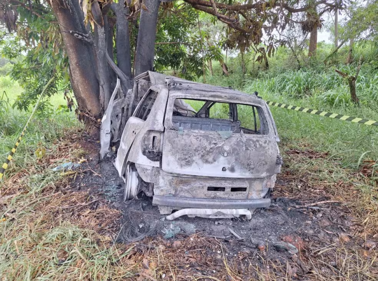 pimenta-1-768x576-1-768x570