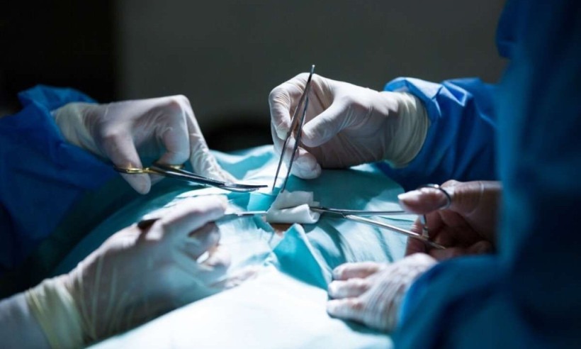 1_transplante-32896372