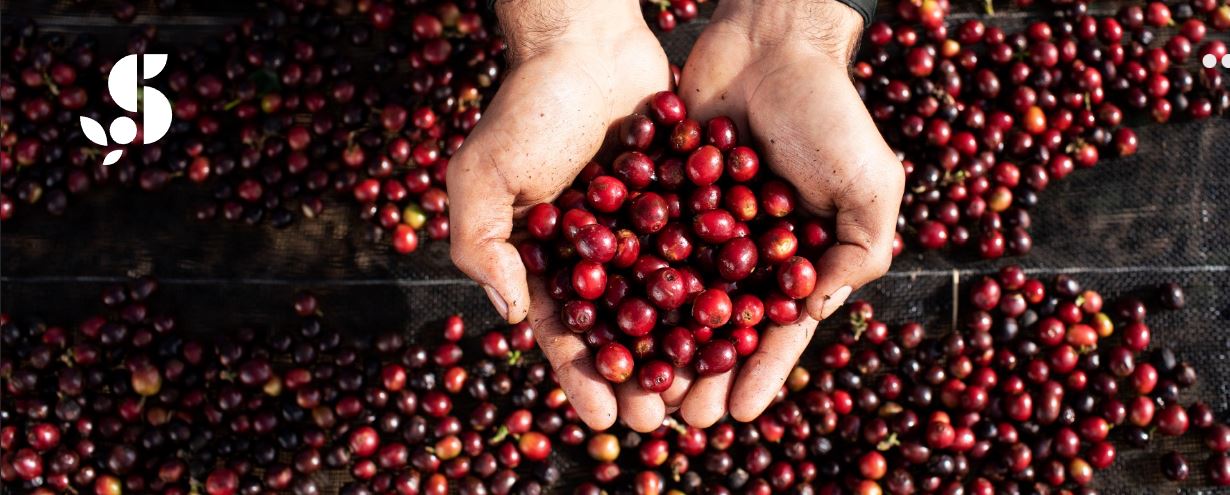 EditalSudoesteMG24 EditalSudoesteMG24