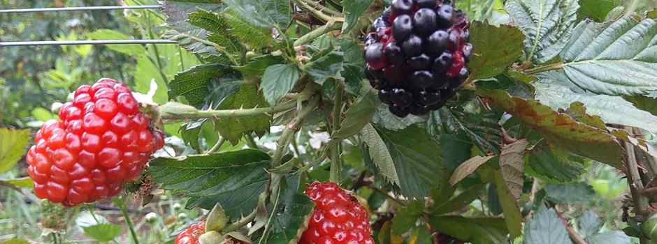 20221017_143842 20221017_143842