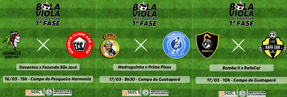 BolaViola16324 BolaViola16324