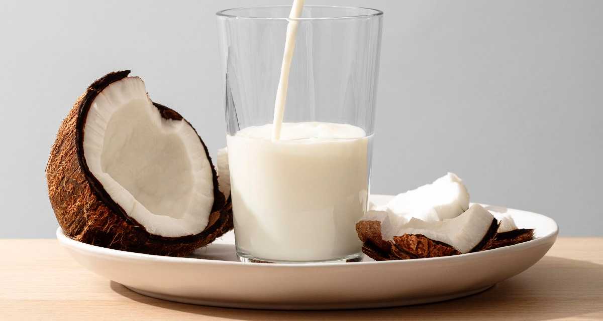 Leite-de-coco-caseiro-66 Leite-de-coco-caseiro-66