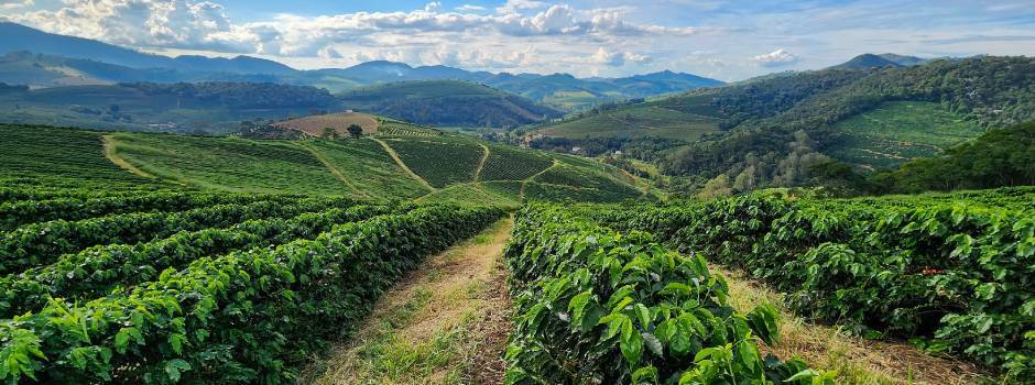 Diego_Vargas_Seapa_3_pp Diego_Vargas_Seapa_3_pp