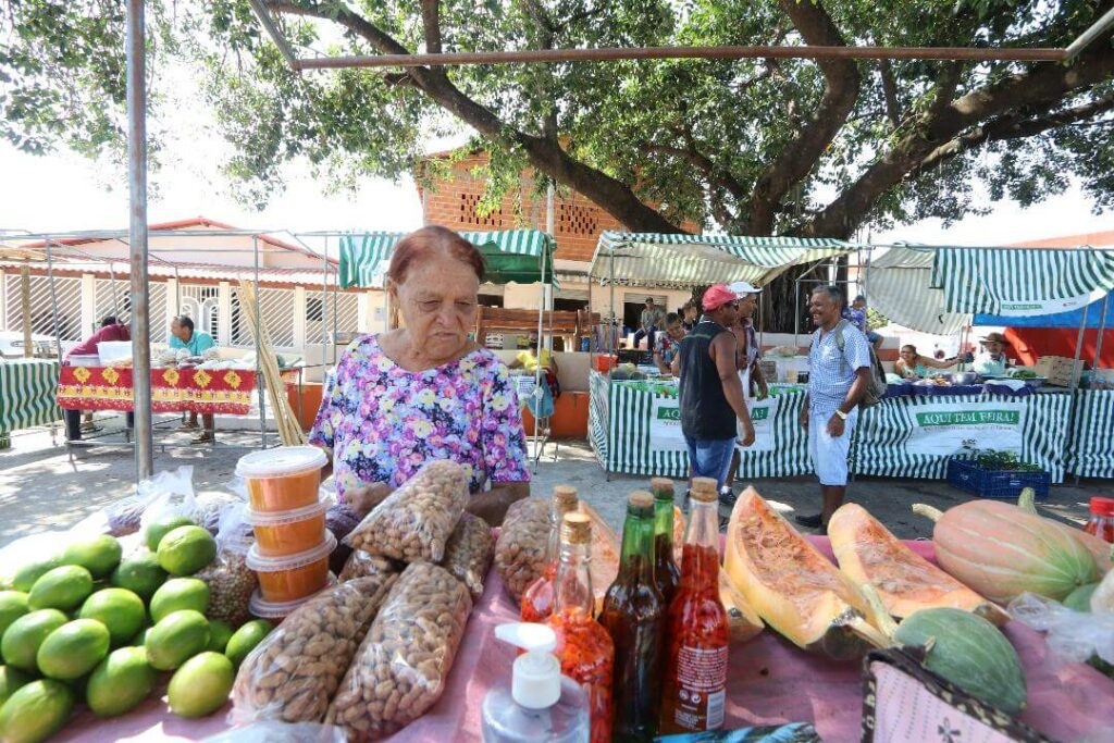 ColunaMG11524 ColunaMG11524