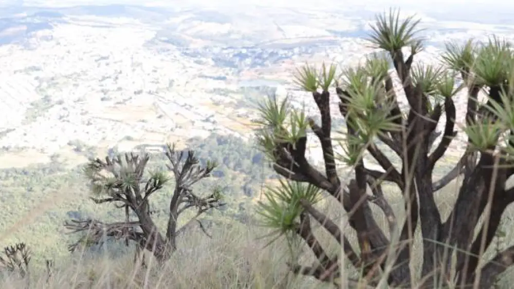 2349732458723923606 2349732458723923606