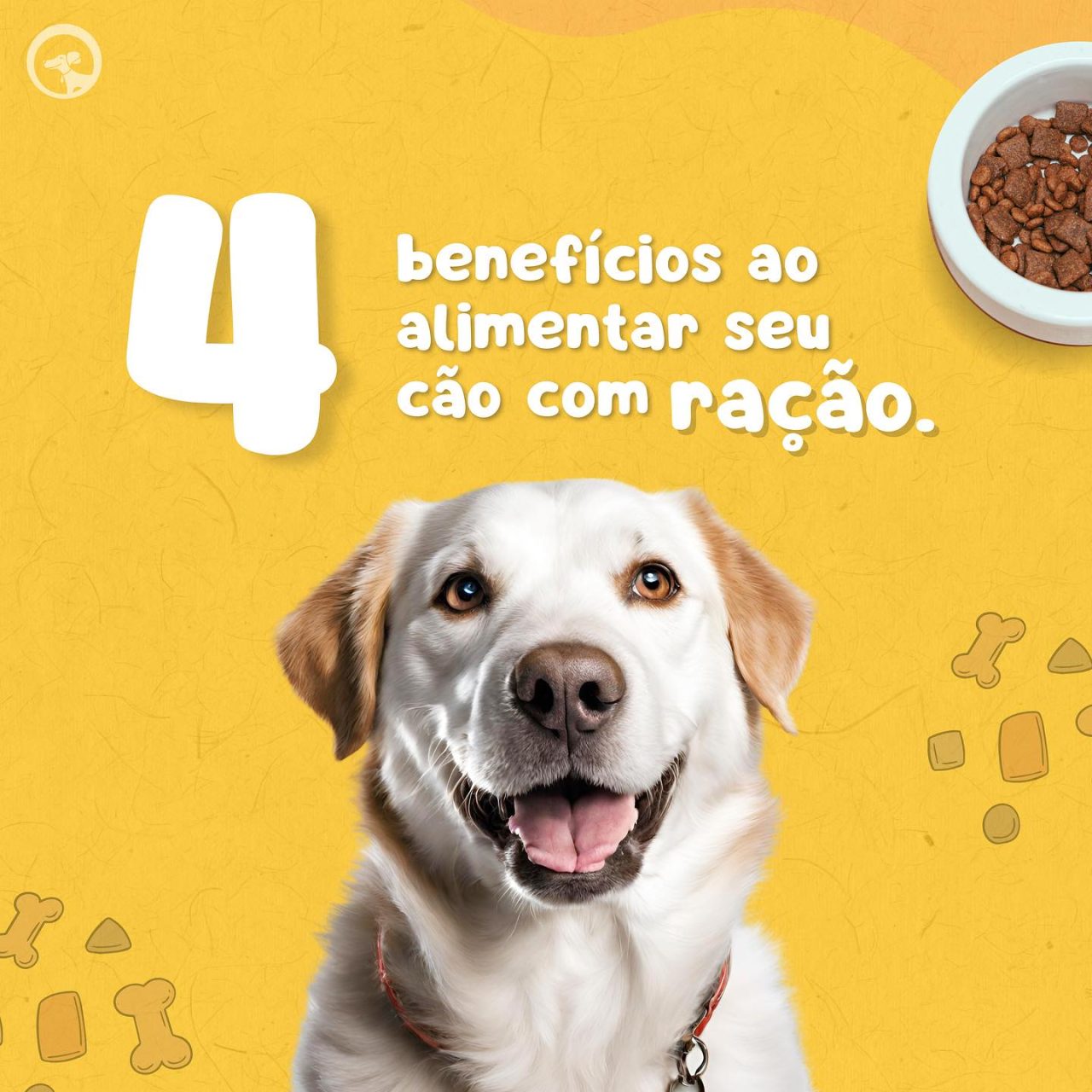 SrCachorroBenef1
