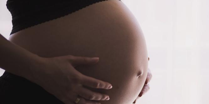 gravida-gestante-356543648 gravida-gestante-356543648