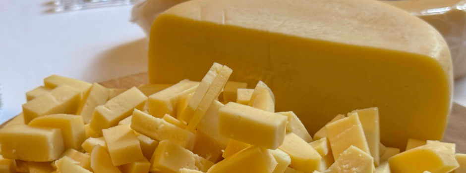 queijo-3259 queijo-3259