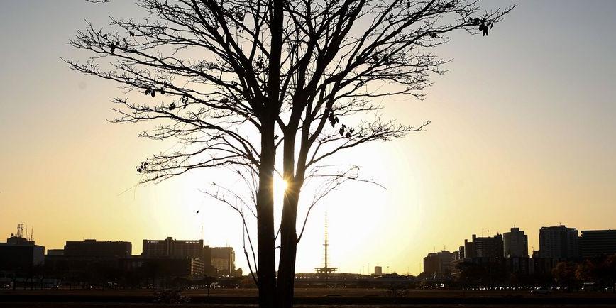 tempo-seco-4538 tempo-seco-4538