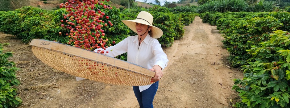 Cafeicultora-35486 Cafeicultora-35486