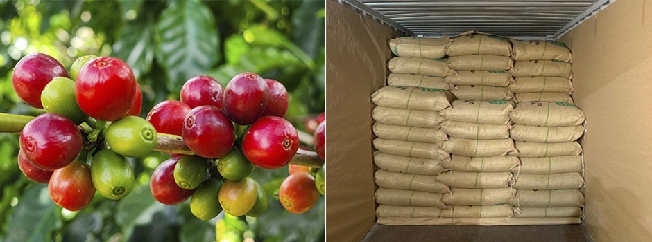 Topo_SeloVerde_(Diego_Vargas__e_Cocatrel)