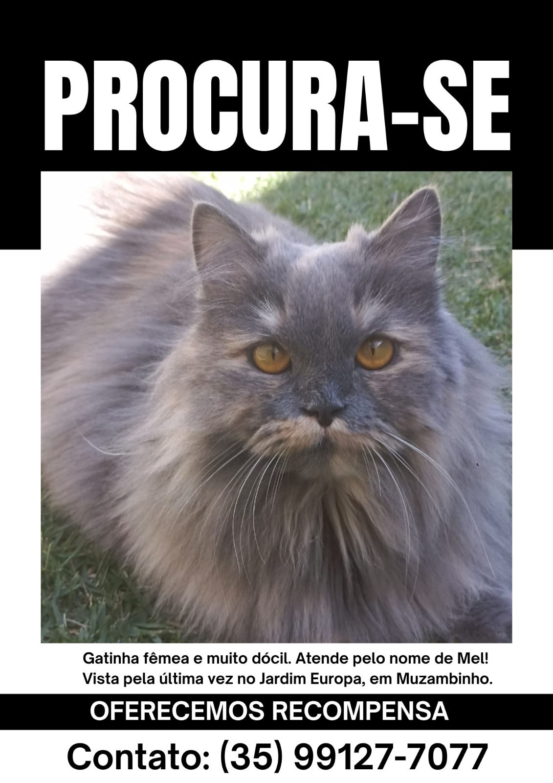 WhatsApp Image 2024-07-11 at 19.21.03