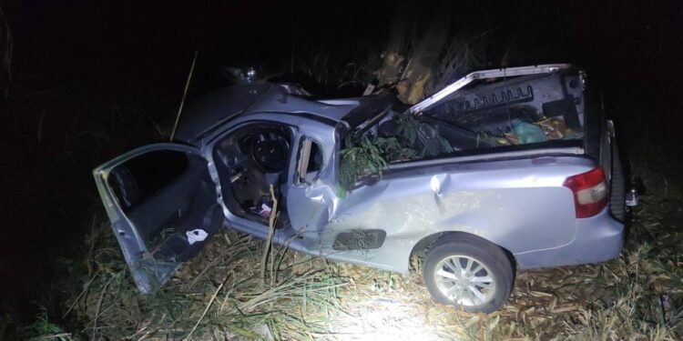 WhatsApp-Image-2024-07-15-at-08.26.24-750x375