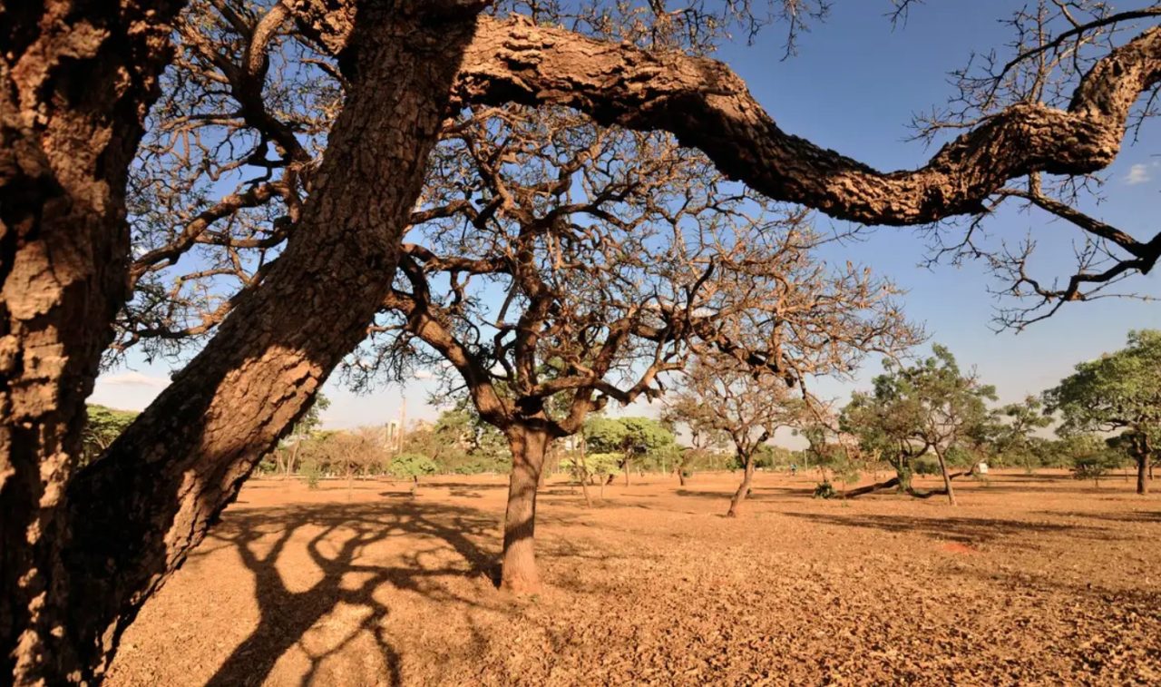 seca-349t3852 seca-349t3852