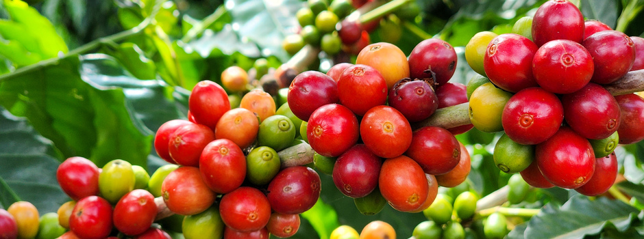 20240308_095557_cafe 20240308_095557_cafe