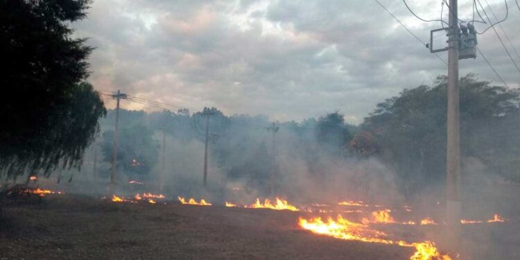 Sem-Titulo-1-4-750x375 Sem-Titulo-1-4-750x375