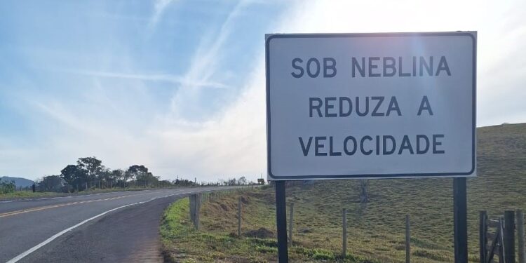 WhatsApp-Image-2024-08-15-at-15.43.44-750x375 WhatsApp-Image-2024-08-15-at-15.43.44-750x375