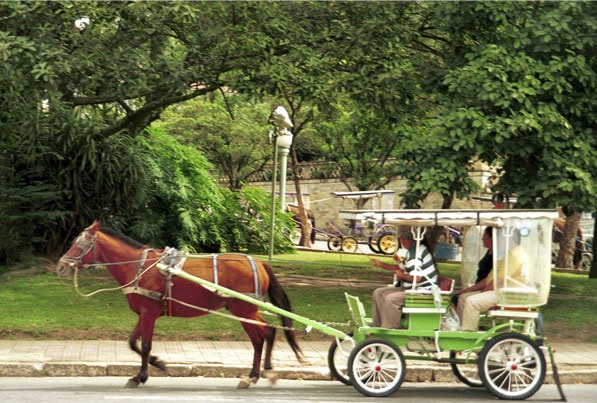 WhatsApp Image 2024-08-29 at 11.22.21