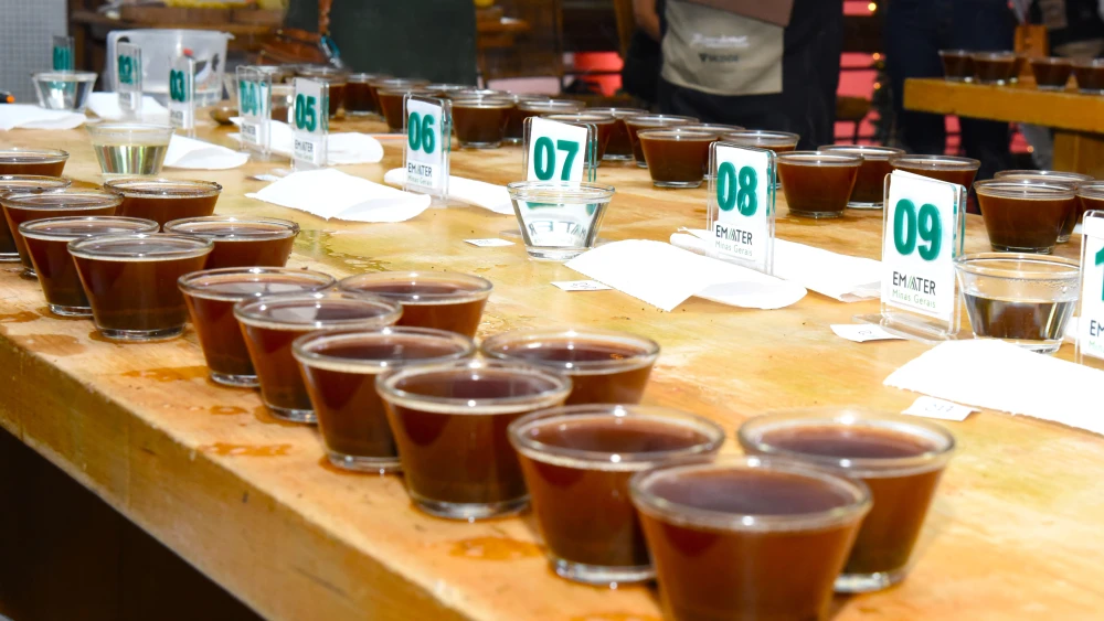 concurso-cafe-18 concurso-cafe-18