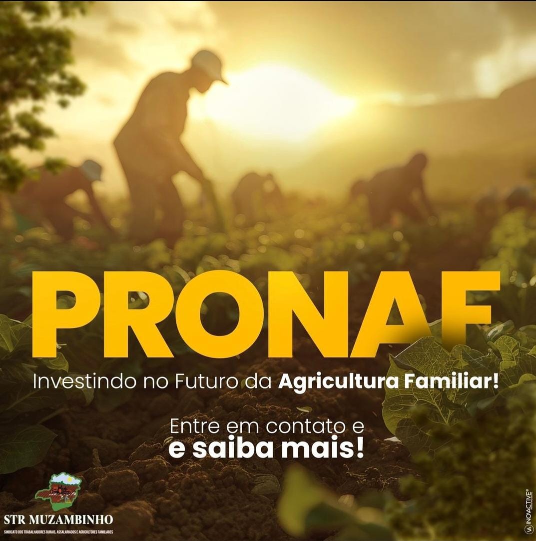 WhatsApp Image 2024-09-17 at 08.16.32