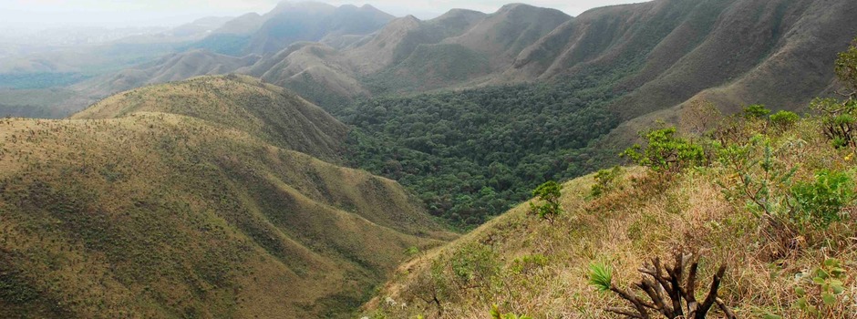 WhatsApp_Image_2024-09-20_at_09.24.30