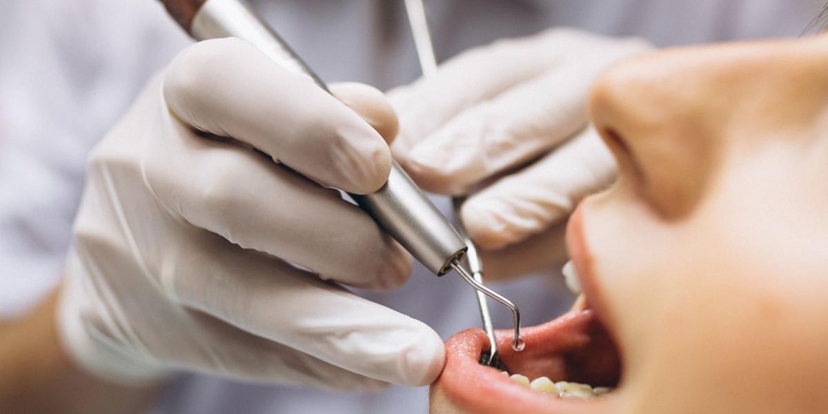 dente-dentista-4853 dente-dentista-4853